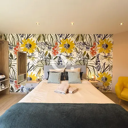 Coc - L'entre Deux Caps Lägenhet Wissant