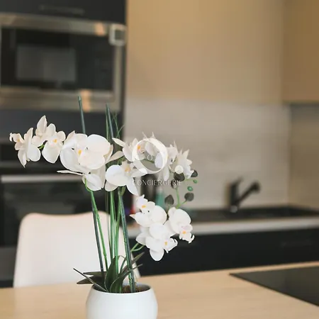 Lägenhet Coc - L'entre Deux Caps Wissant