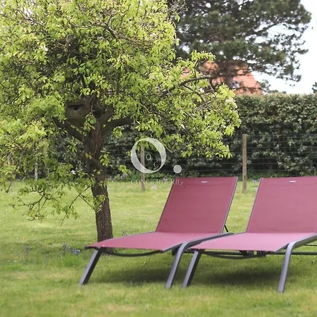 Coc - L'entre Deux Caps *